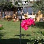 Oda ve Kahvaltı Casa Decimo 4*
