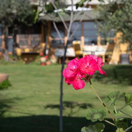 住宿加早餐酒店 Casa Decimo 4*