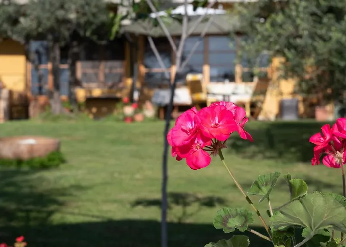 Oda ve Kahvaltı Casa Decimo 4*